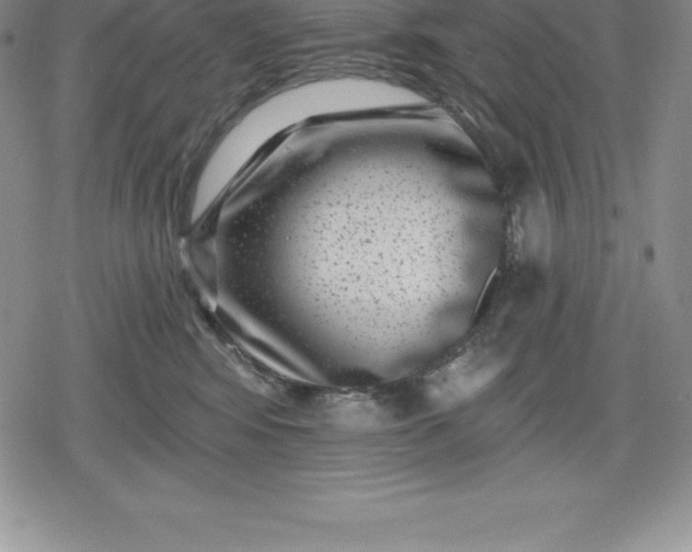 X0000080200424200612221410