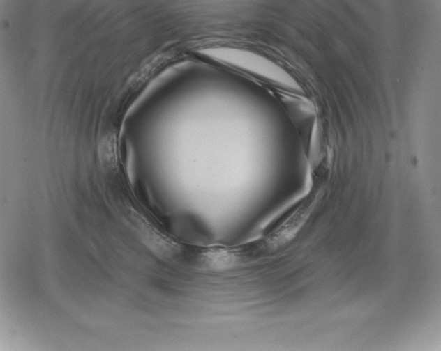 X0000080200425200612221410