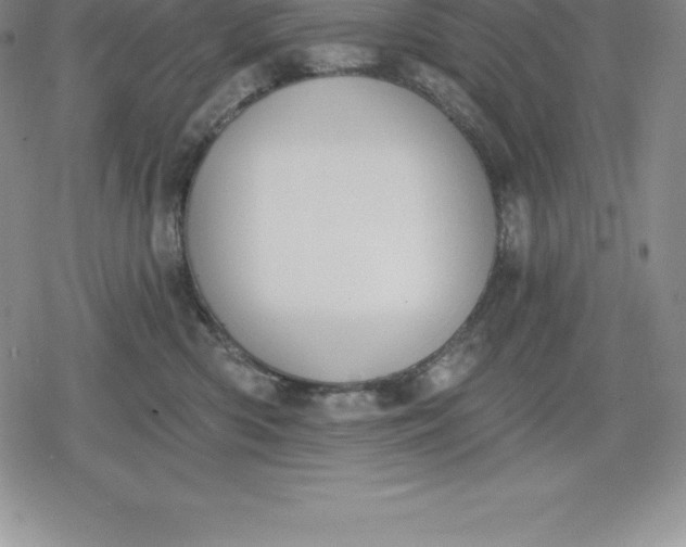 X0000080200426200612221410