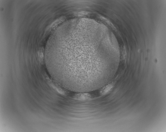 X0000080200427200612221410