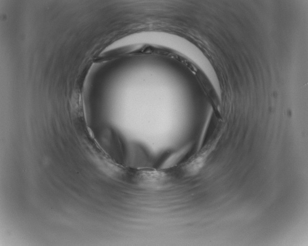 X0000080200429200612221410