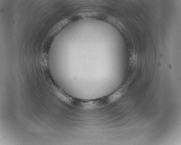 X0000080200430200612221410