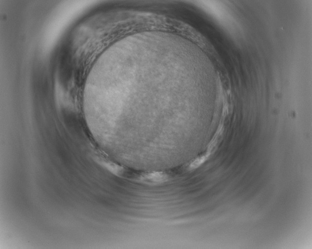 X0000080200431200612221410