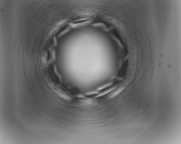 X0000080200432200612221410