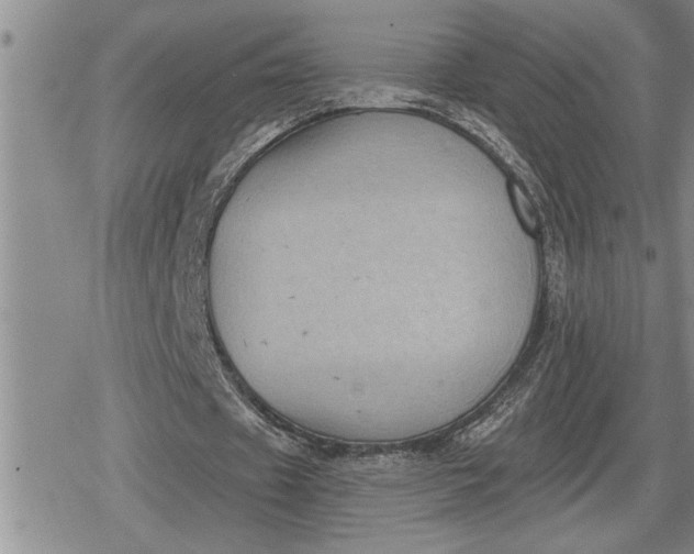 X0000080200433200612221409