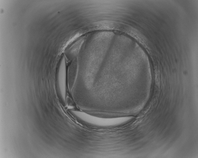 X0000080200434200612221409