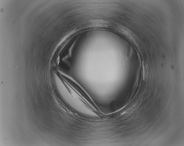 X0000080200435200612221409