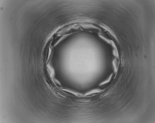 X0000080200436200612221409