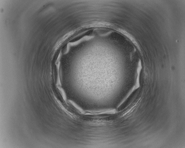 X0000080200437200612221409