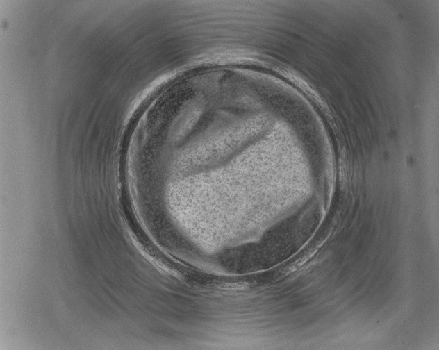 X0000080200438200612221409