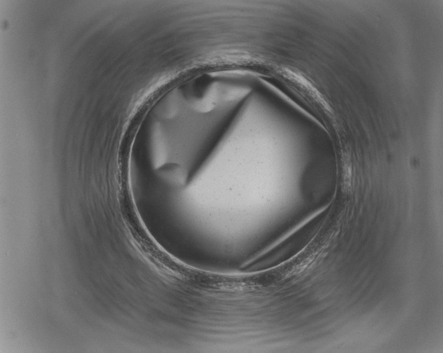 X0000080200439200612221409