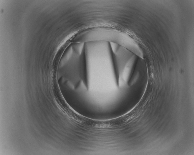 X0000080200440200612221409