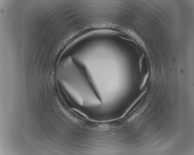 X0000080200441200612221409