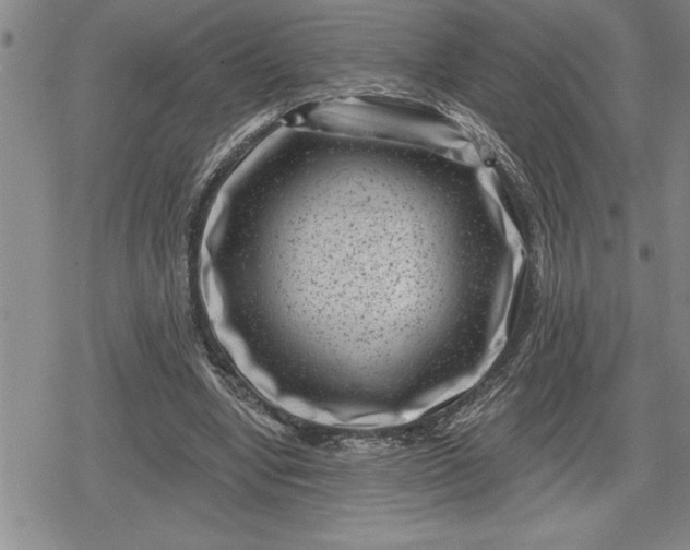 X0000080200442200612221409