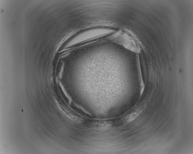 X0000080200443200612221409