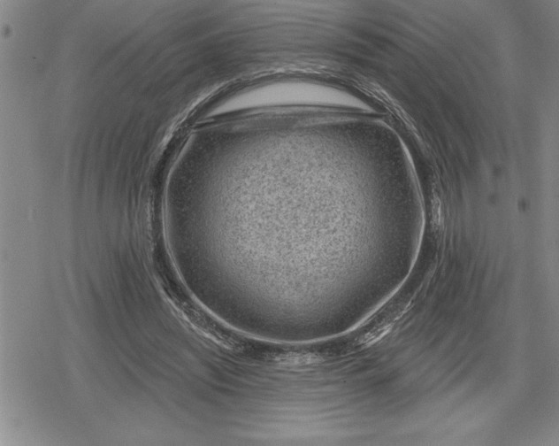 X0000080200444200612221409