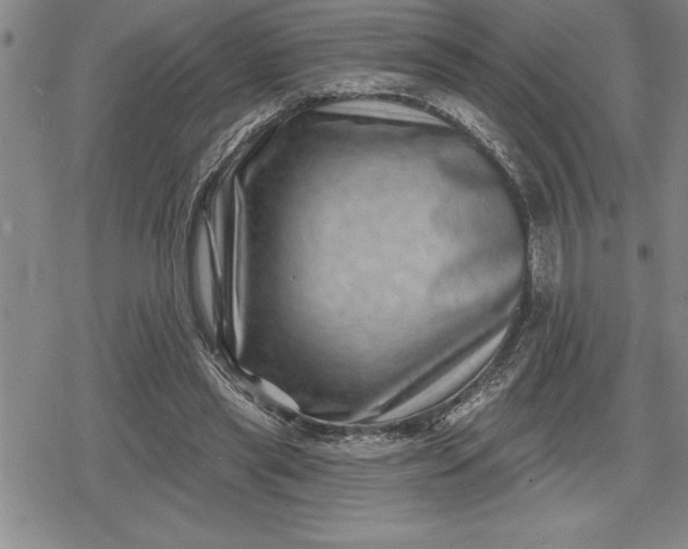 X0000080200445200612221409