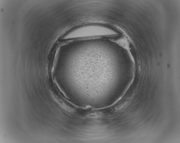 X0000080200447200612221409