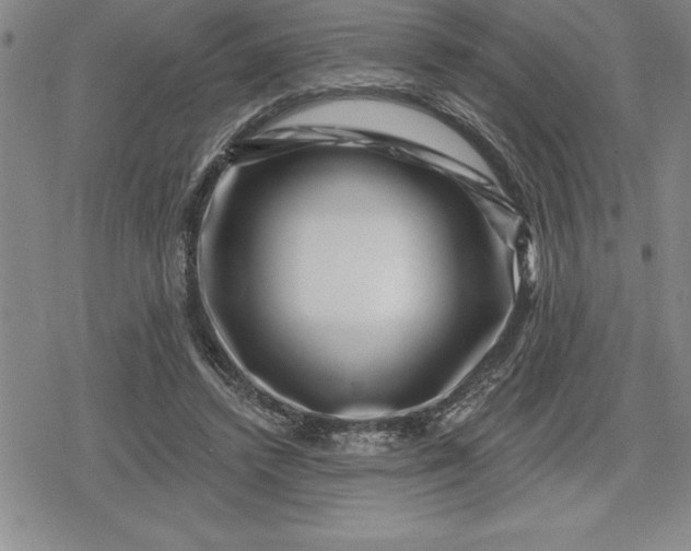 X0000080200448200612221409