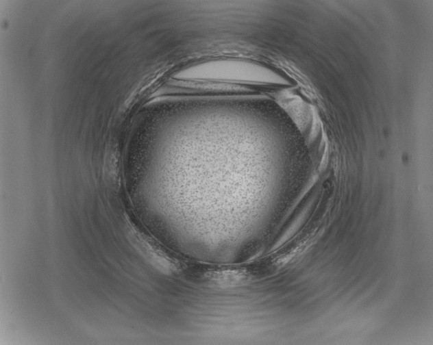 X0000080200449200612221409