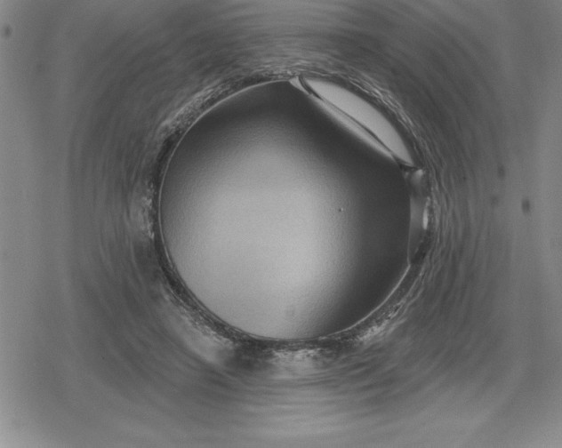 X0000080200450200612221409