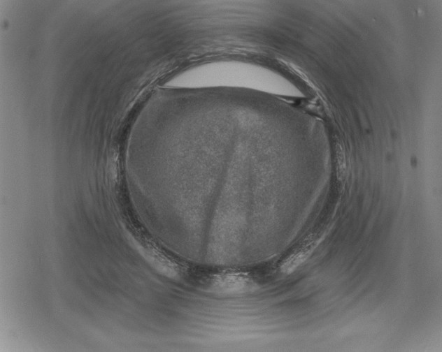 X0000080200451200612221410