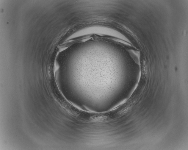 X0000080200452200612221410