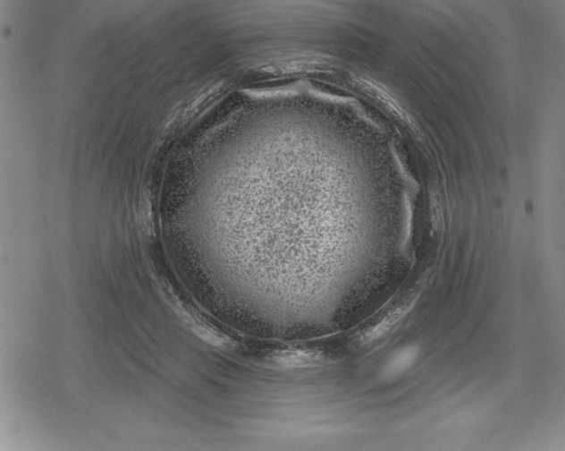 X0000080200453200612221410