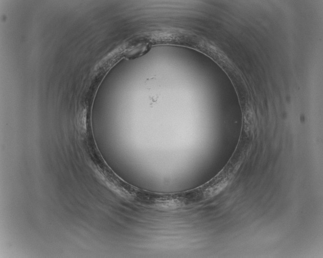 X0000080200454200612221410