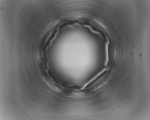 X0000080200455200612221410