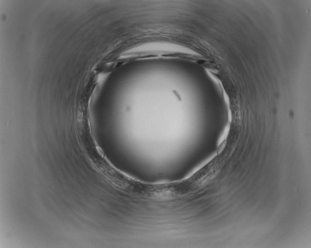 X0000080200456200612221410