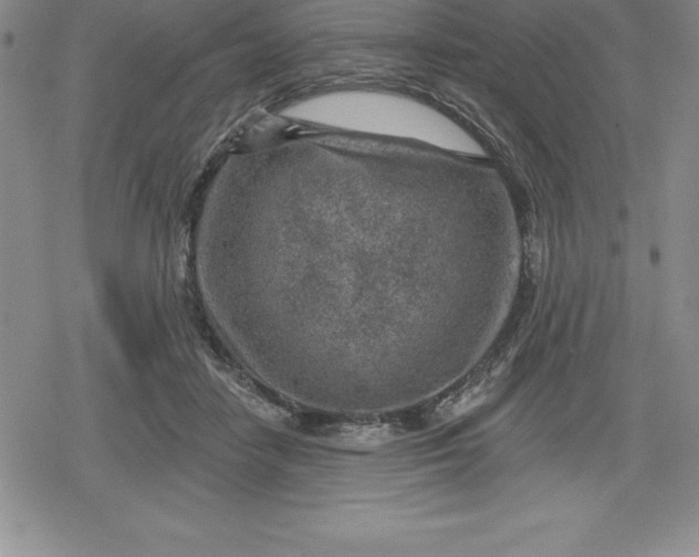 X0000080200458200612221410