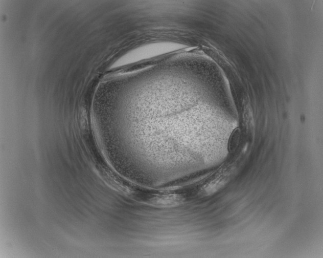 X0000080200459200612221410