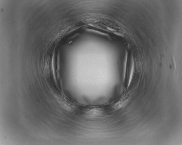 X0000080200460200612221410