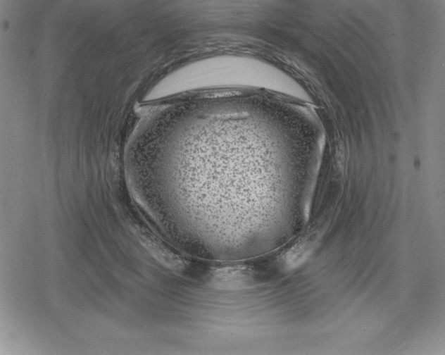 X0000080200461200612221410