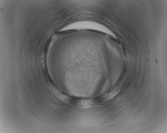 X0000080200462200612221410