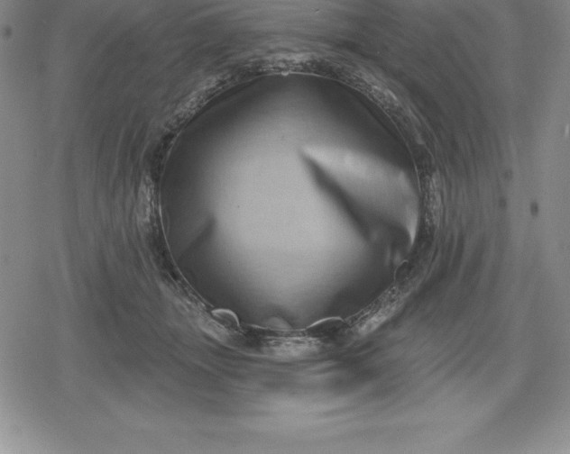 X0000080200463200612221410