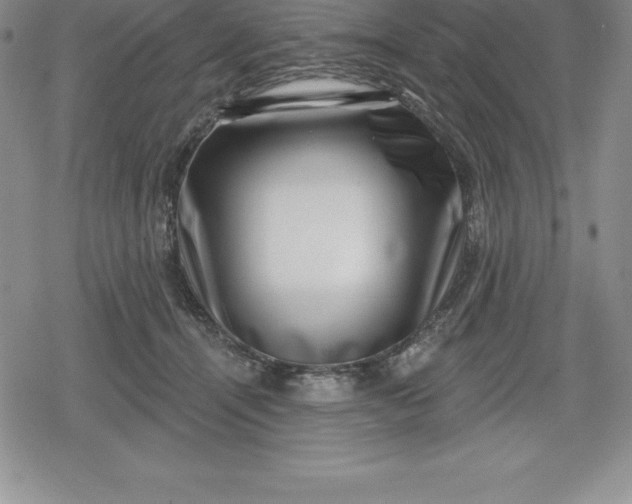 X0000080200464200612221410