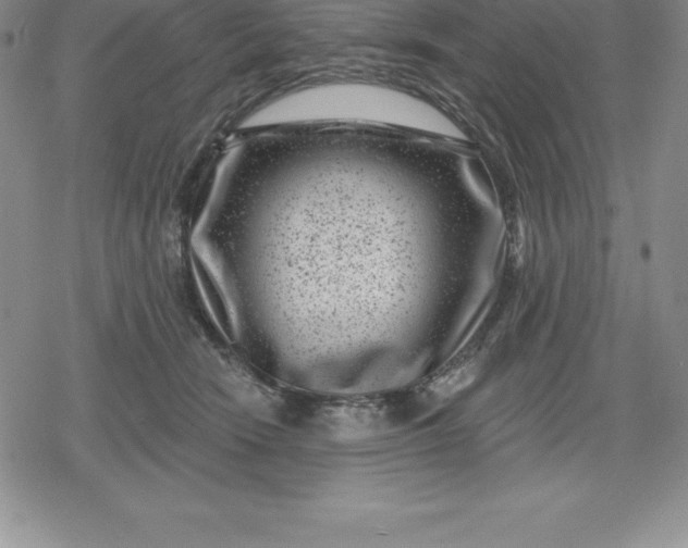 X0000080200466200612221410