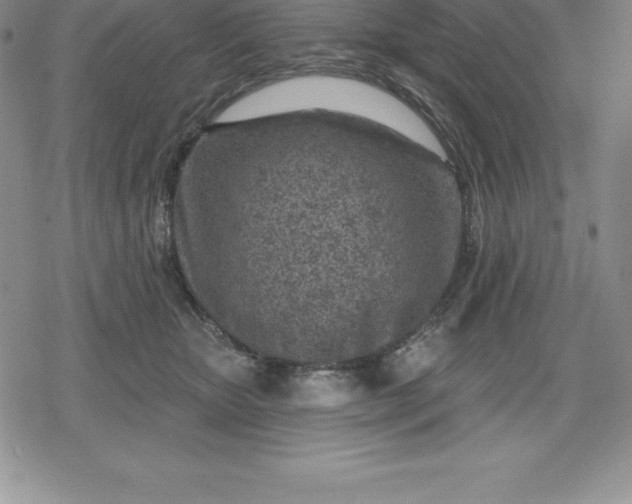 X0000080200467200612221410