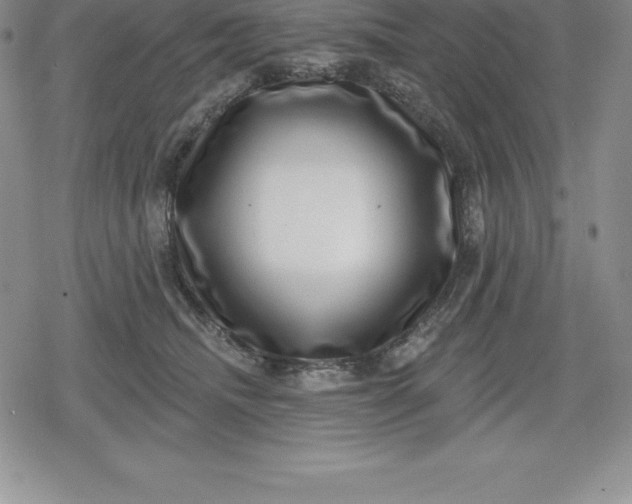 X0000080200468200612221410