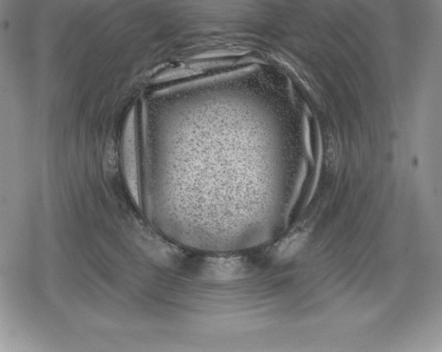 X0000080200469200612221410