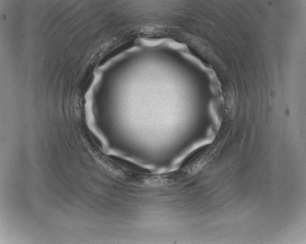 X0000080200470200612221410