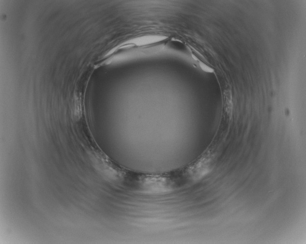 X0000080200471200612221410