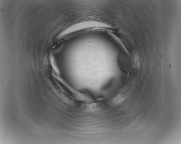 X0000080200472200612221410