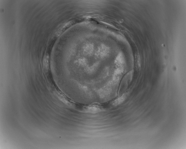 X0000080200475200612221410