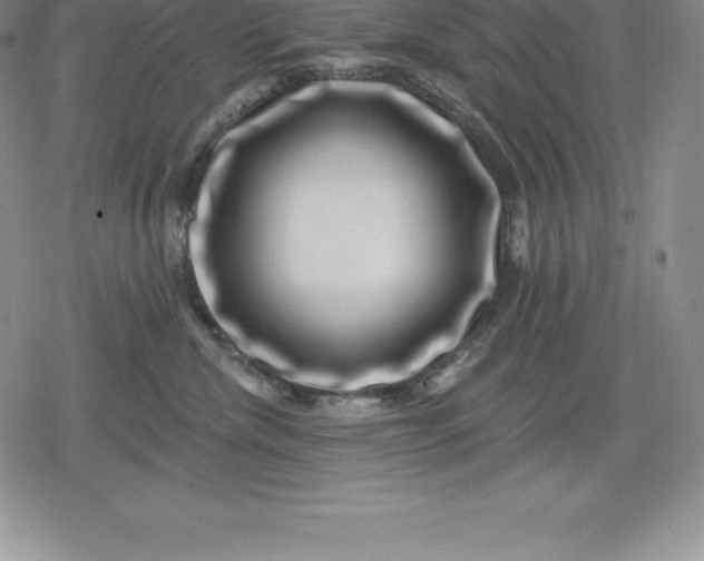 X0000080200476200612221410