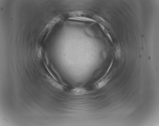 X0000080200477200612221410