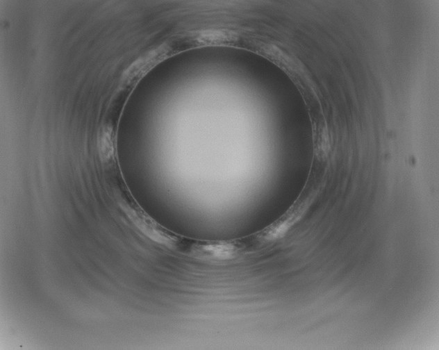 X0000080200478200612221410