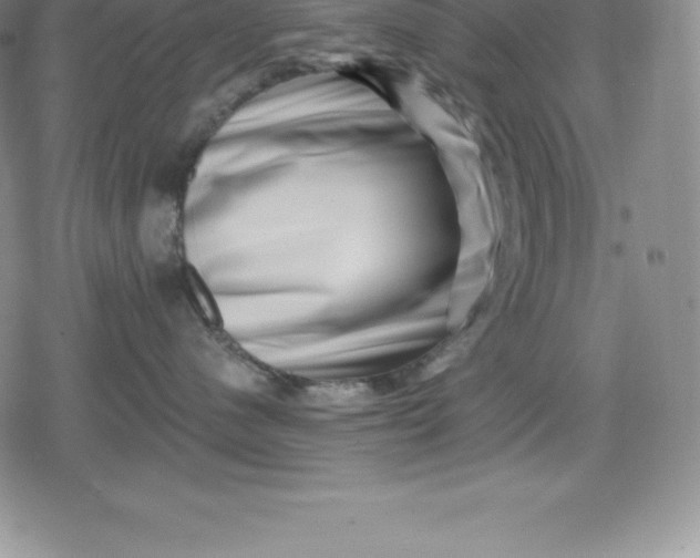 X0000080200480200612221410